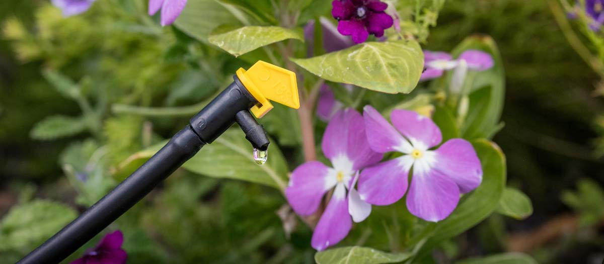 Drip irrigation system watering planted flowers