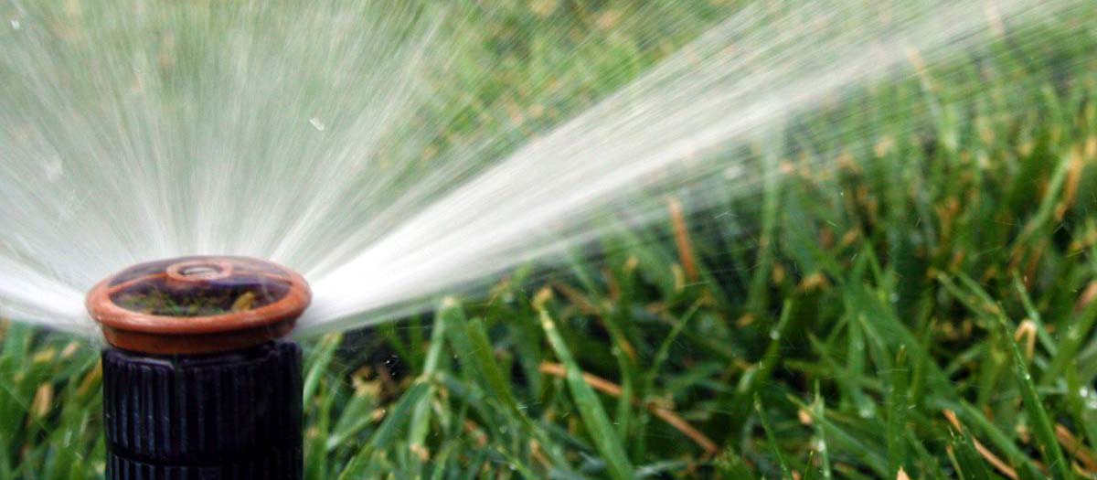 Closeup of sprinkler spraying water on lawn