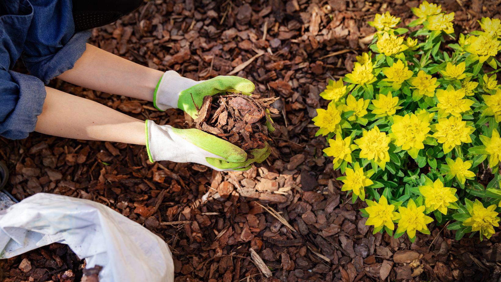 Handful of mulch