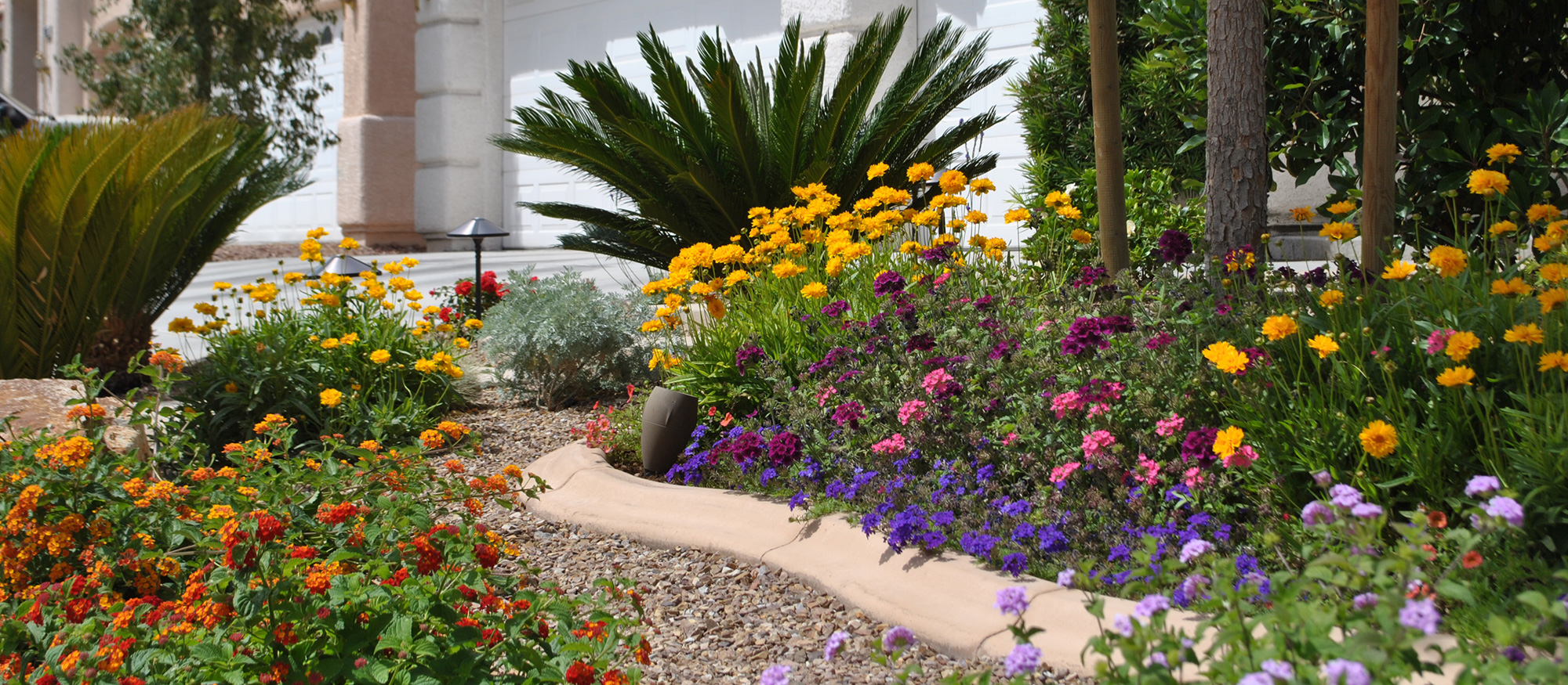 Brightly colored flowers in landscape