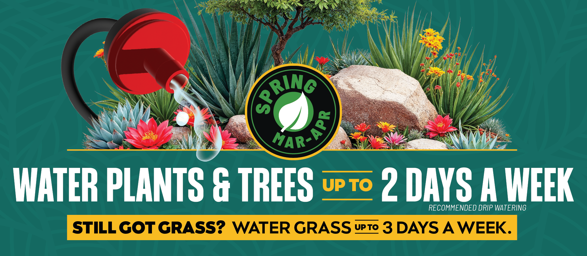 Spring watering restrictions banner shows drip head on desert plants