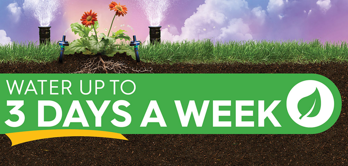 Graphic with drip heads says "water up to 3 days per week"