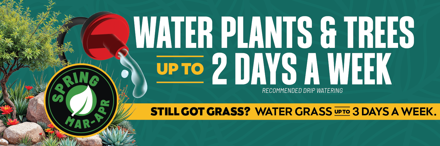 Banner promoting spring watering restrictions