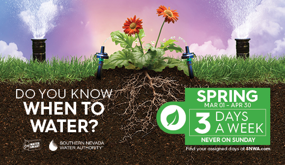 close up of landscape with sprinklers and drip emitters with instructions to water no more than 3 days a week