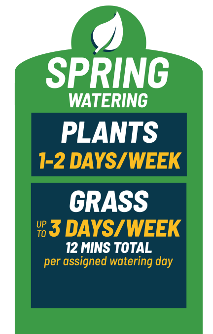 Graphic notes that in spring, we recommend watering plants on drip systems 1-2 days per week, with duration depending on emitter flow. Grass on sprinkler systems can be watered up to 3 days per week, for 12 minutes total per assigned watering day.