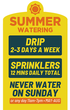 Graphic notes that in summer, we recommend watering plants on drip systems 2-3 days per week, with duration depending on emitter flow. Grass on sprinkler systems can be watered up to 3 days per week, for 12 minutes total per assigned watering day.