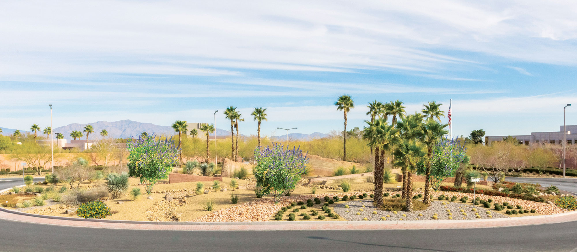 a traffic circle in Summerlin after grass was removed and replaced with desert landscaping