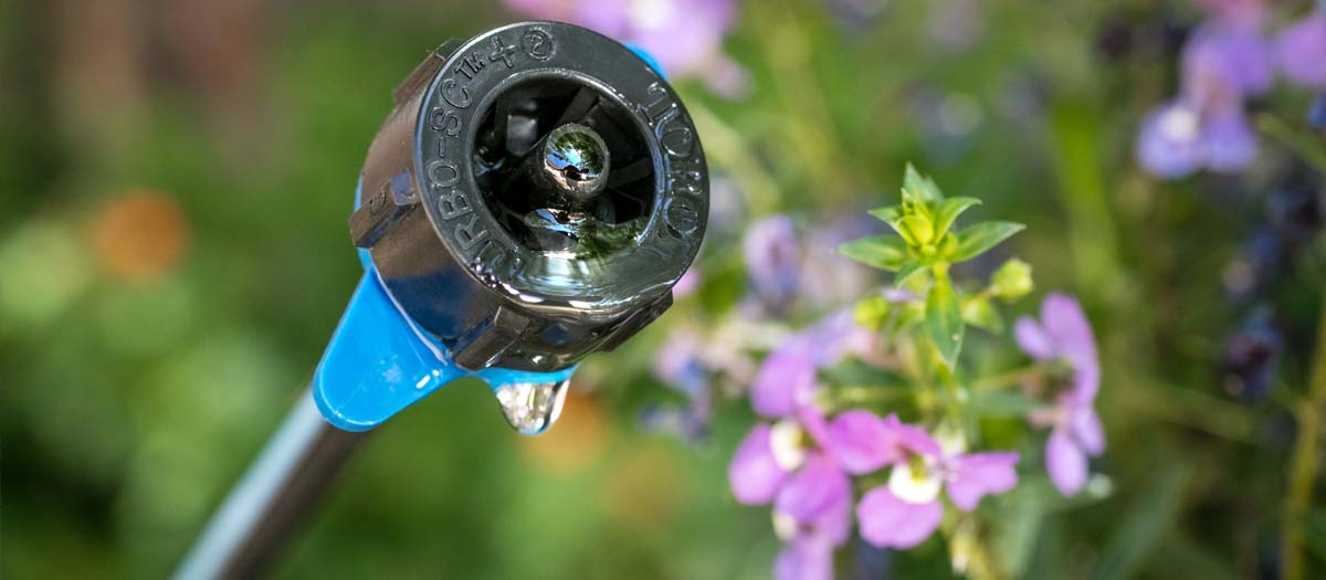 Closeup of drip irrigation system against plants