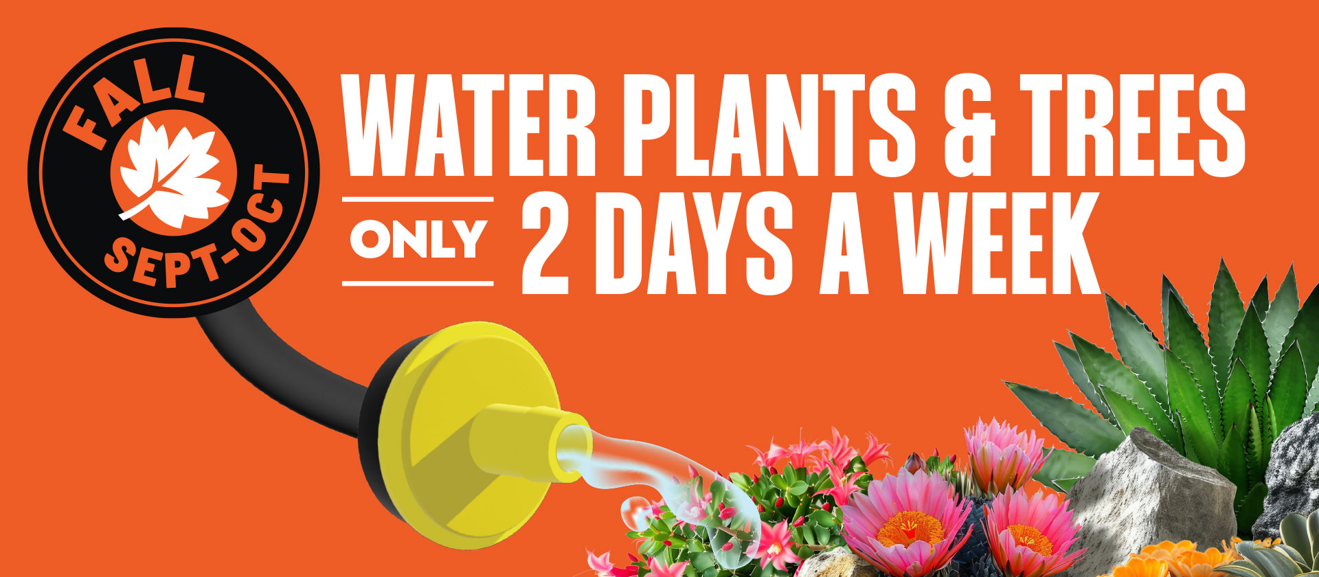 Watering Tips watering-tips