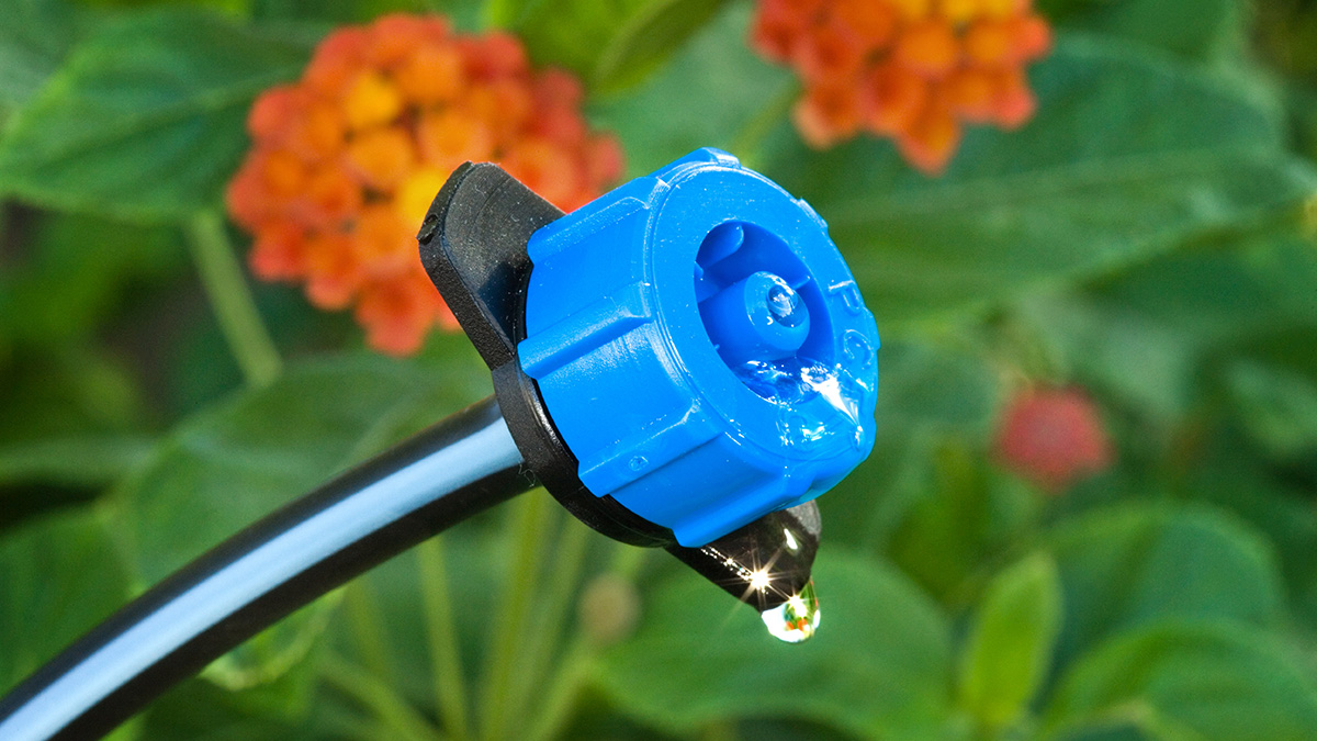 Blue drip irrigation head