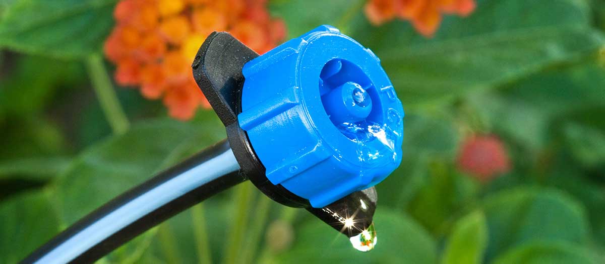 Drip irrigation dribbling water on green desert landscaping.