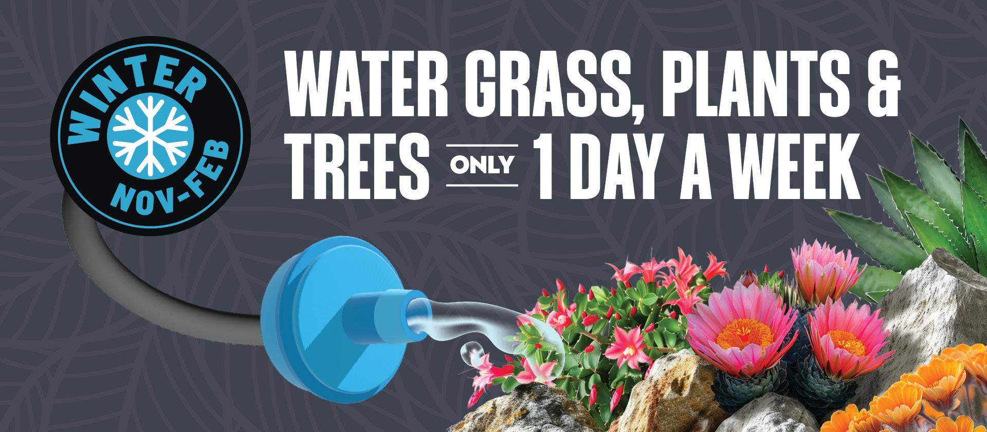 drip emitter watering plants