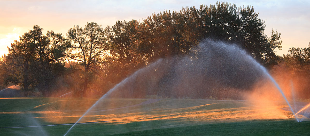 Golf course with sprinklers running at sunset