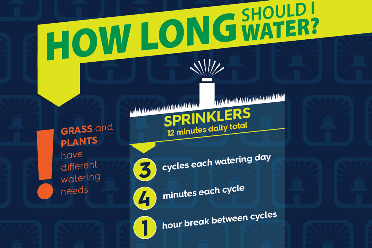 A graphic showing how long to water plants for for sprinkler irrigation