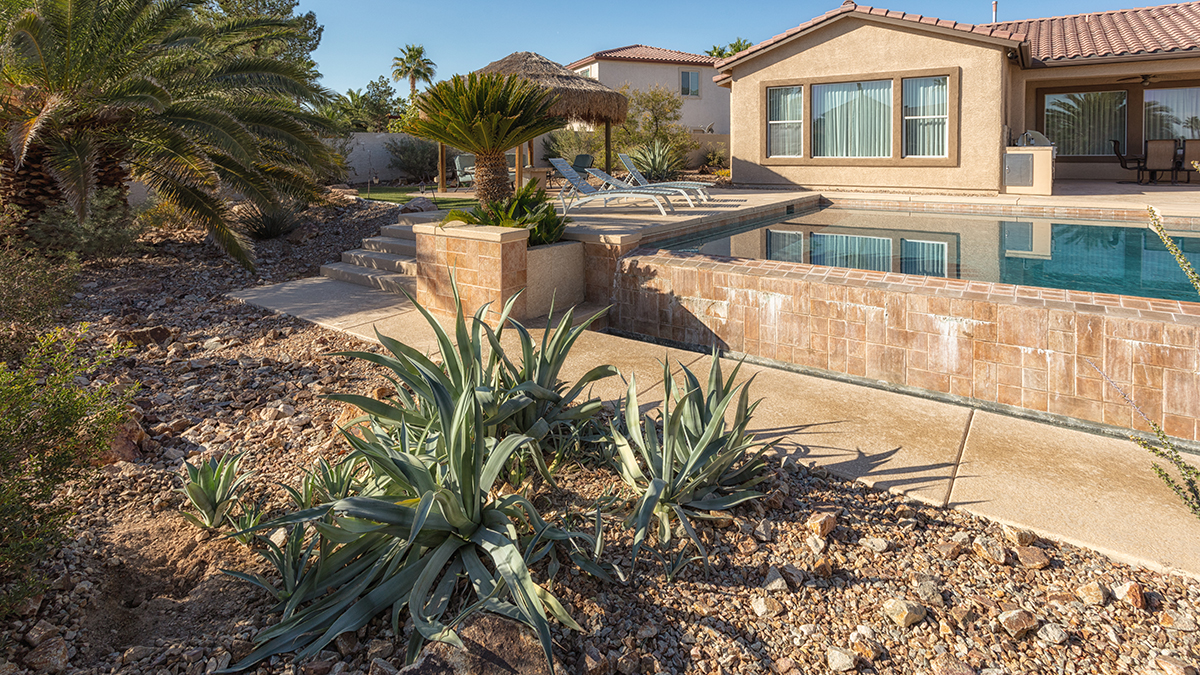 Pool with palms and succulents around it