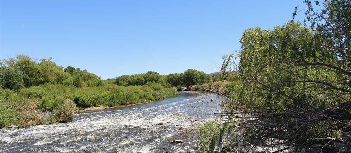 Protecting the watershed