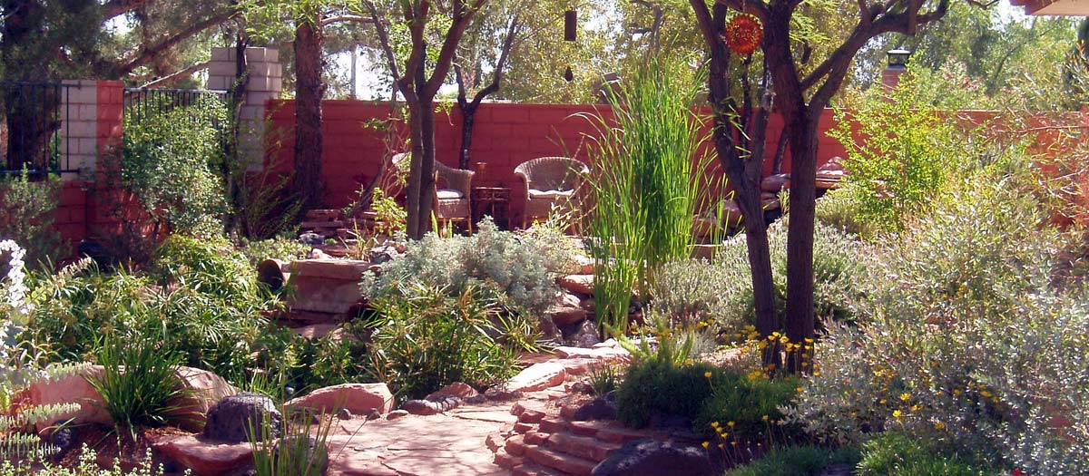 Choosing Plants Trees And Mulch