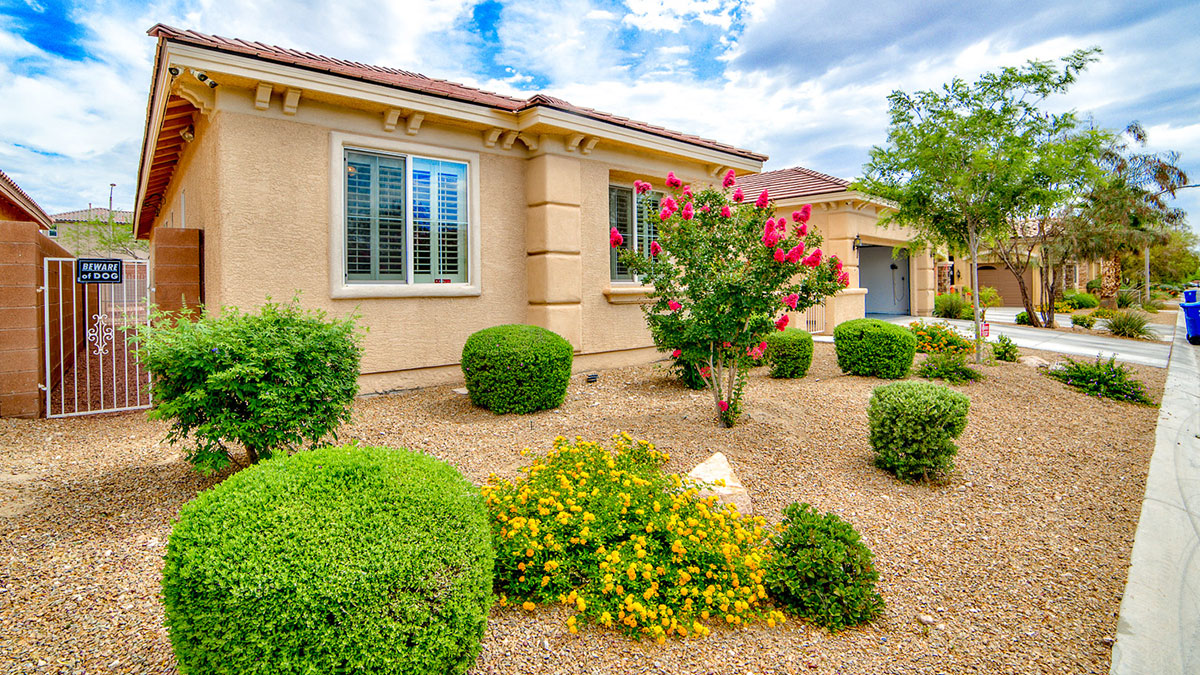 Water-smart landscape featuring desert-adapted plants