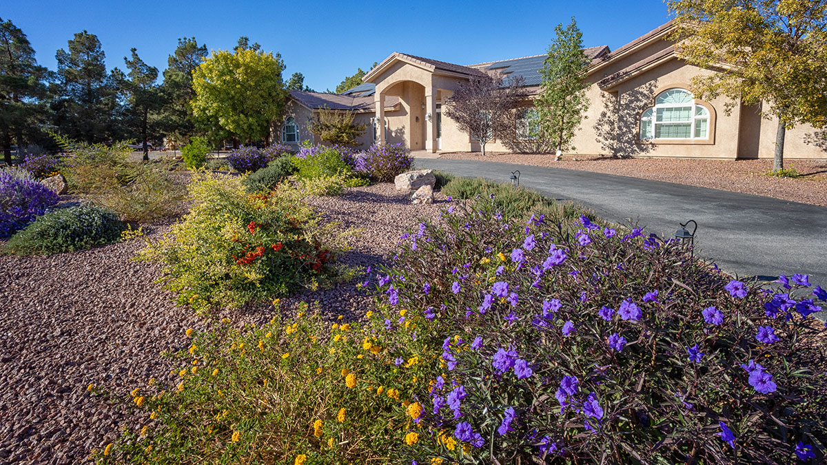 Water-smart landscape featuring desert-adapted plants