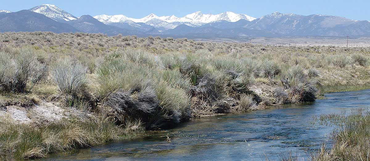 nevada water law