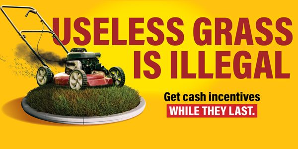 Lawnmower on median with text that says "useless grass is illegal. get cash incentives while they last" 
