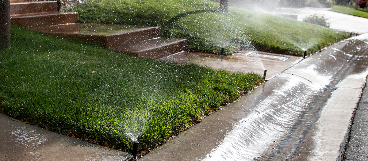 Sprinkler water running off into street