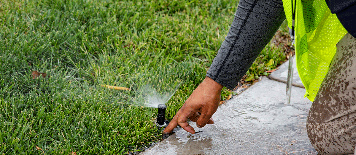 Sprinkler water running off into street