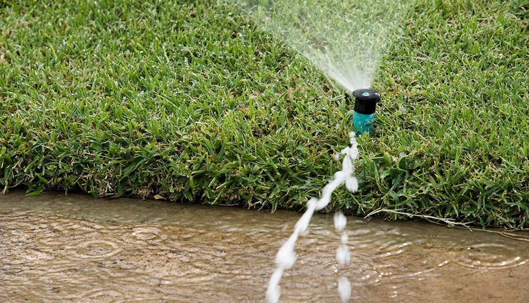 Broken sprinkler with water flowing onto sidewalk