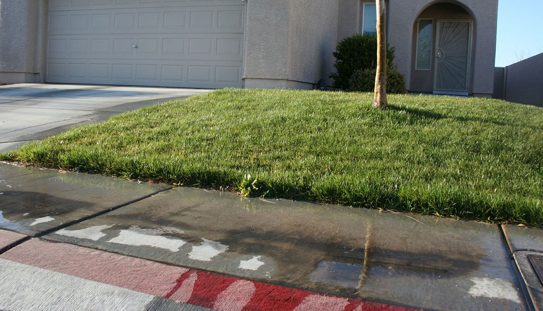 Sprinkler water running off landscape onto sidewalk