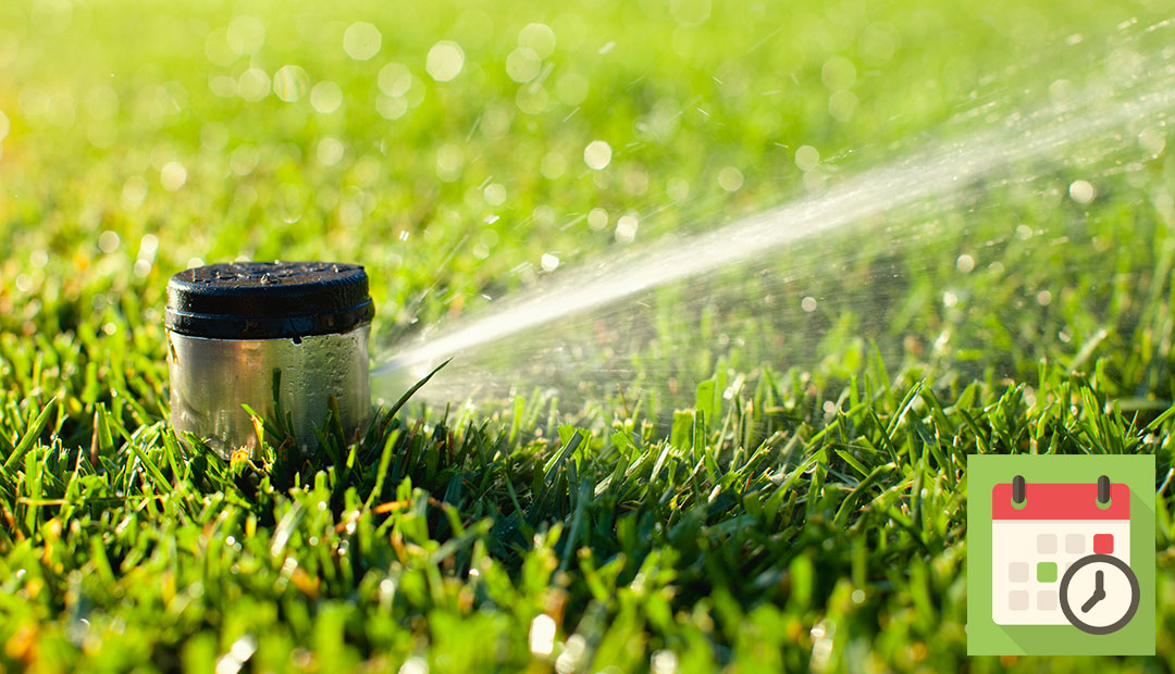 Close-up of sprinkler running on green grass with time icon in corner