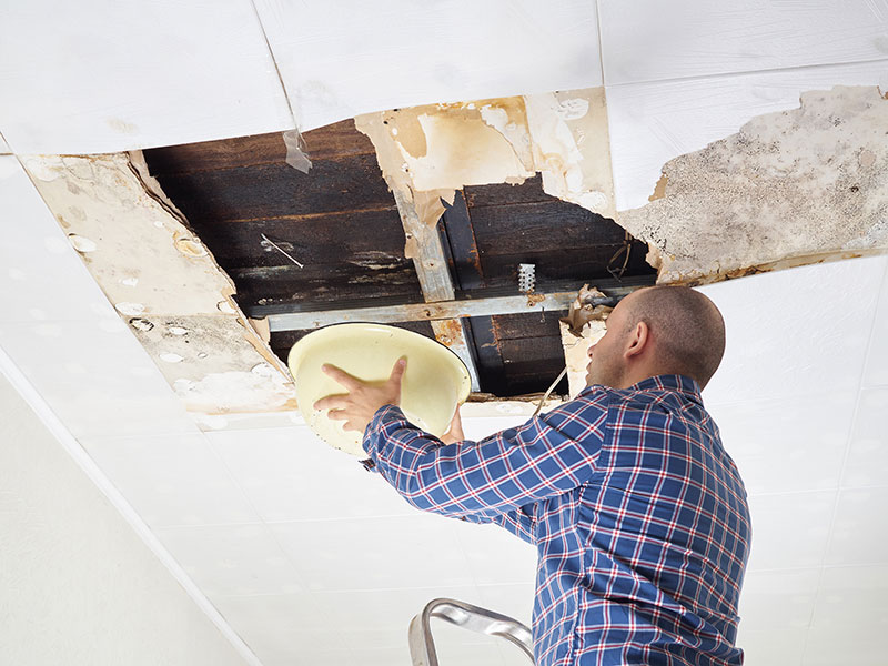 A man surveying a water leak in his ceiling