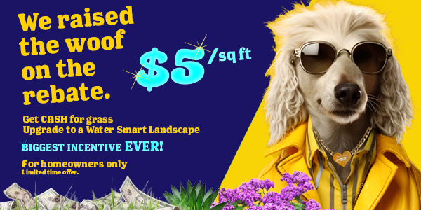 Dog with sunglasses says "$5 per square foot. We raised the woof on the rebate. Get cash for grass. Upgrade to a water-smart landscape. Biggest inventive ever. For homeowners only. Limited time offer.